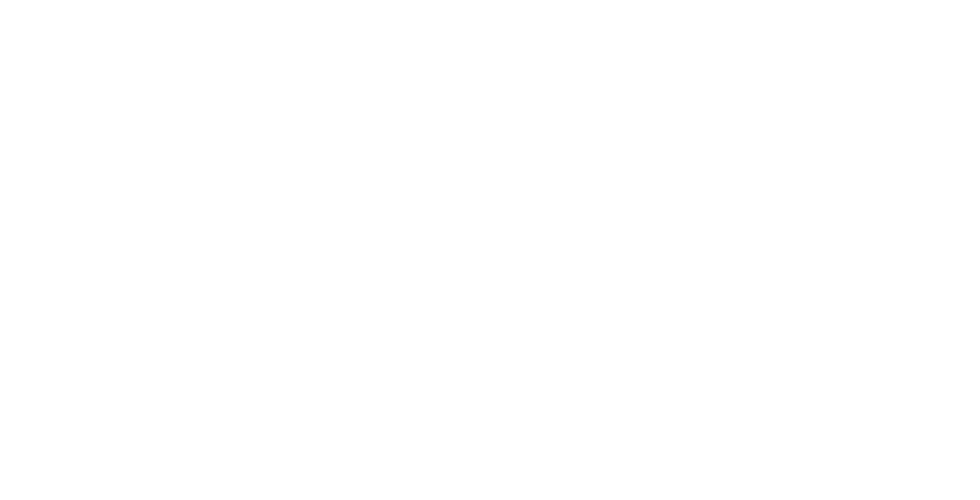 通关信息服务方案整合