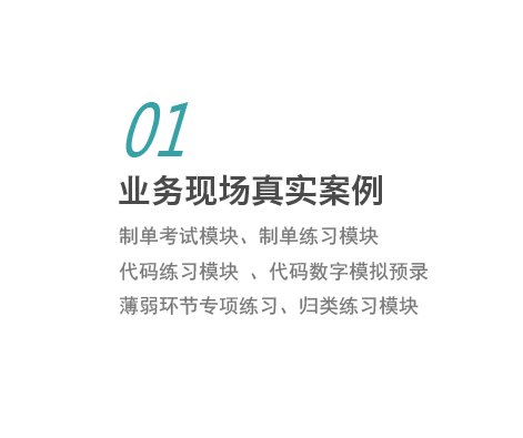 制单考试模块,制单练习模块,代码练习模块,代码数字模拟预录,薄弱环节专项练习,归类练习模块 